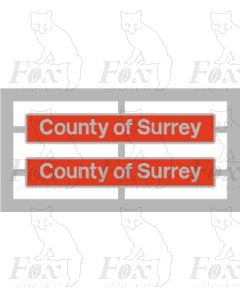 73131 County of Surrey