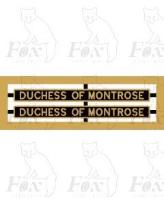 46232 DUCHESS OF MONTROSE