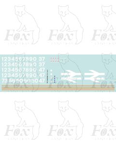 Class 37 Revised Standard (Large Logo) Blue Livery (Scottish) MULTIPACK 1