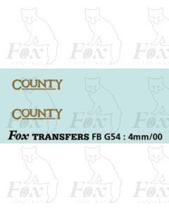 FLEETNAMES - COUNTY gold