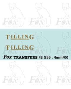 FLEETNAMES - TILLING - 8mm wide, with underline, gold