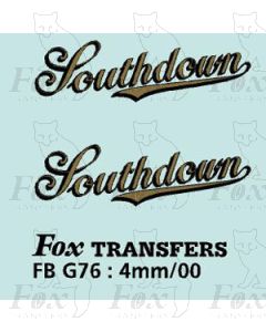 FLEETNAMES - Southdown 21mm wide - script with black shadow