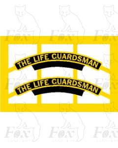 46150  THE LIFE GUARDSMAN