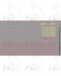 B1 Class Loco Lining Set