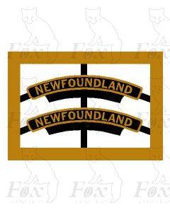 5573  NEWFOUNDLAND  