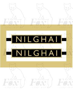 1019  NILGHAI