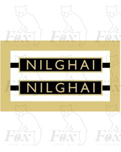 1019  NILGHAI